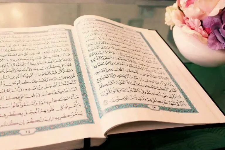 Learn recite Quran basic tajweed rules