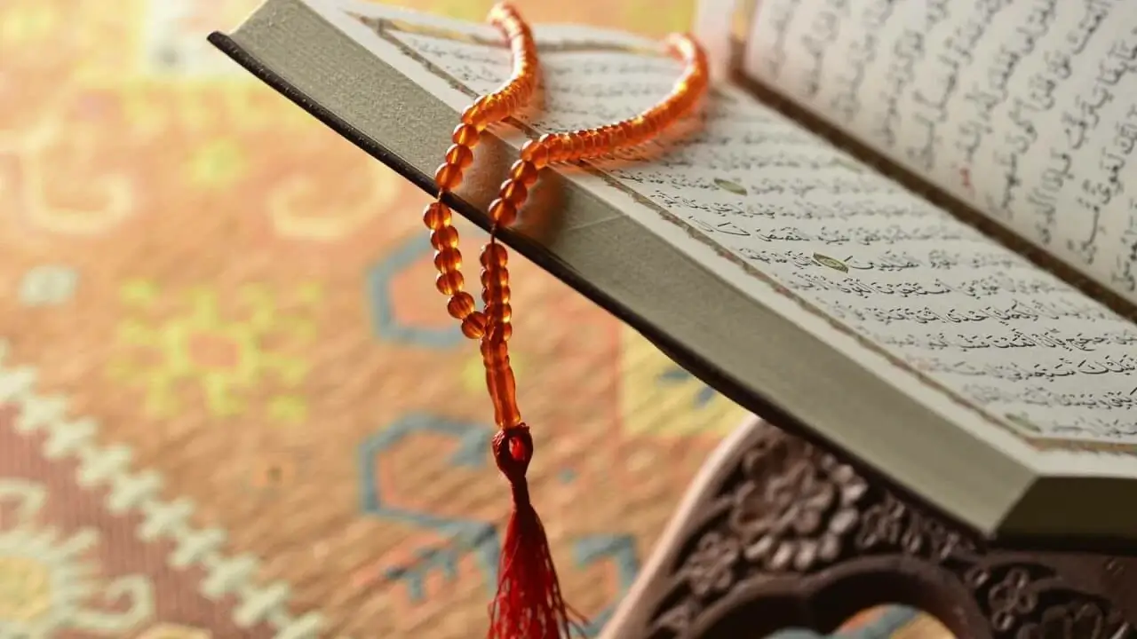Learn recite Quran basic tajweed rules
