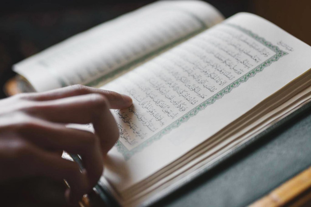 Quran For Adults Online Course